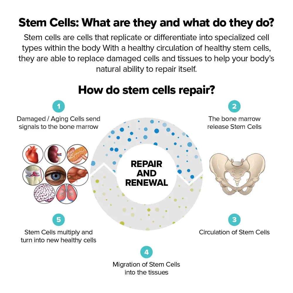 StemEnhance® ULTRA Supplementen