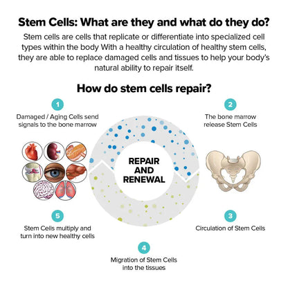StemEnhance® ULTRA Supplementen